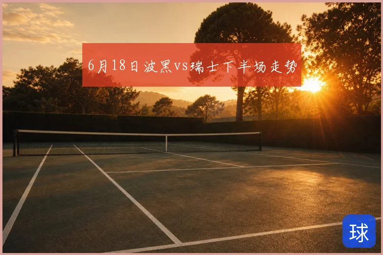 6月18日波黑vs瑞士下半场走势